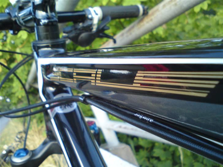Scott scale 40, 09 billede 7