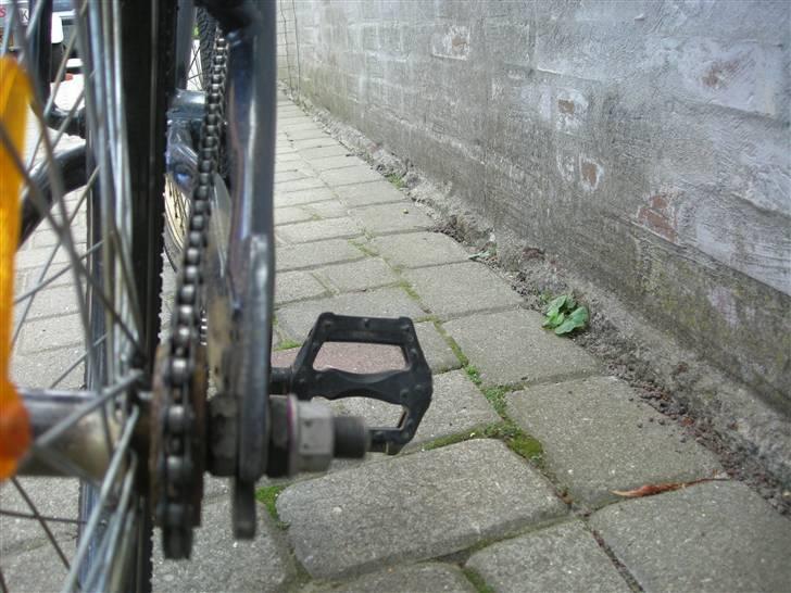 Taarnby BMX  billede 5