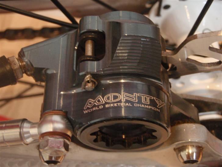 Monty 221 Kamel 09 død/knækket billede 10