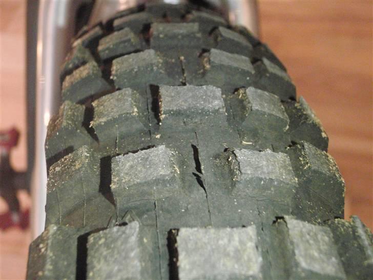 Monty 221 Kamel 09 død/knækket billede 12