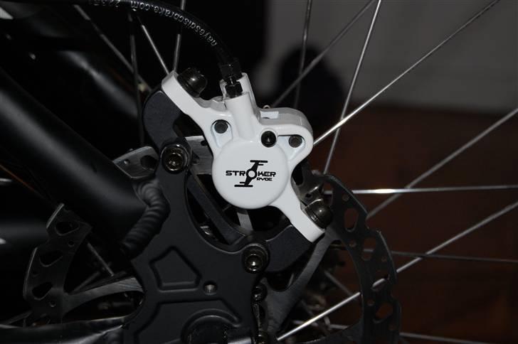 Cube Acid 2009 billede 4