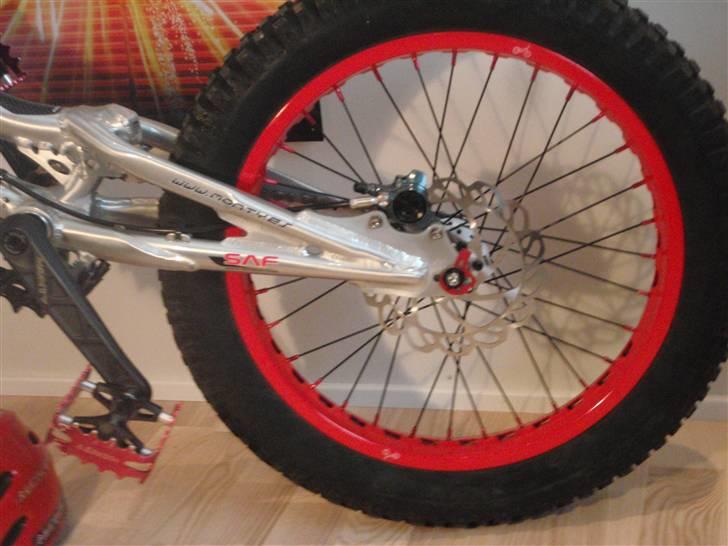 Monty 221 Kamel 09 død/knækket billede 15