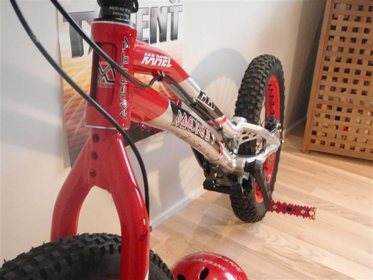 Monty 221 Kamel 09 død/knækket billede 16