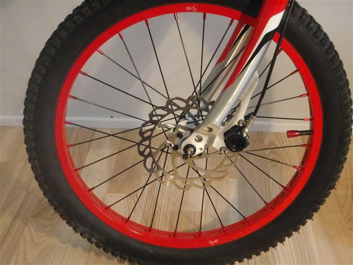 Monty 221 Kamel 09 død/knækket billede 17