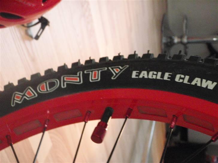 Monty 221 Kamel 09 død/knækket billede 18