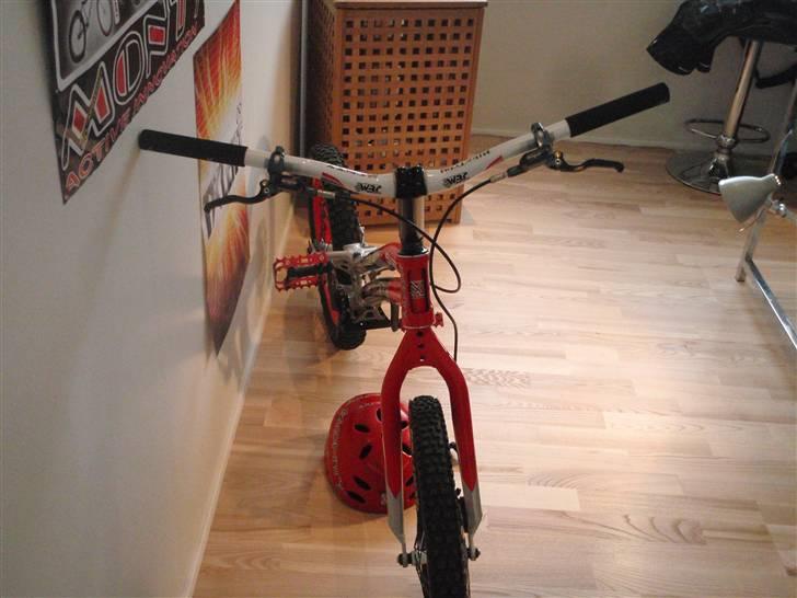 Monty 221 Kamel 09 død/knækket billede 19