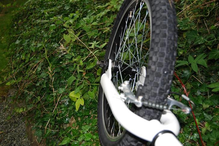 X-zite BMX Freestyle billede 2