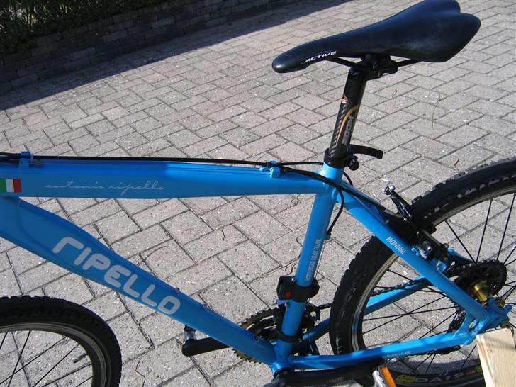 Ripello Mondial Gold billede 7