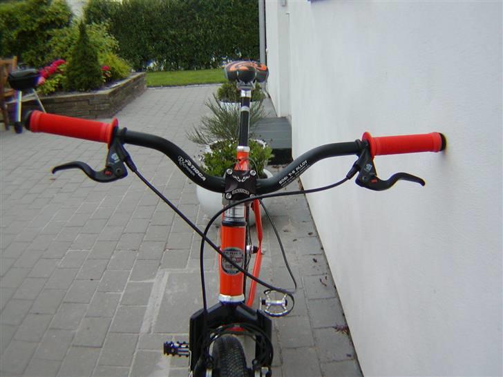 Bianchi Alu Singlespeed billede 2