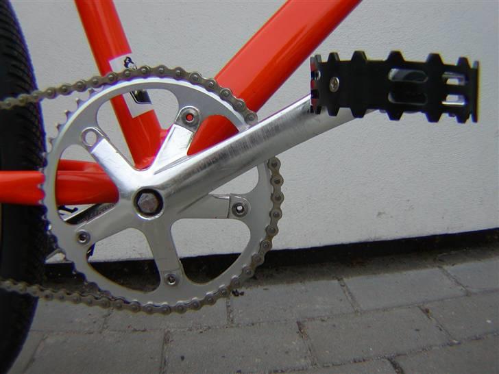 Bianchi Alu Singlespeed billede 4