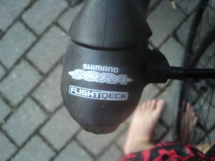 Nishiki RACE MASTER 7005-T4-T6 billede 20