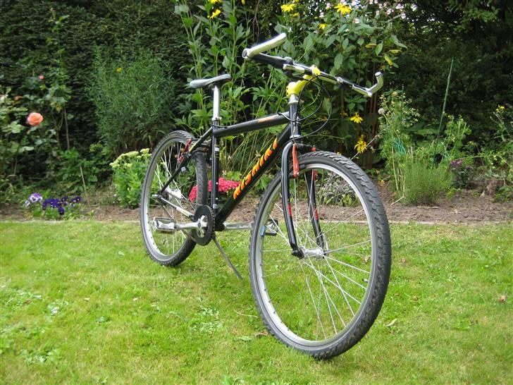 Nishiki Timbuk billede 5