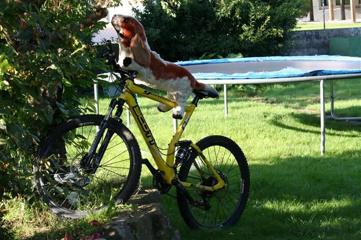 Scott genius RC 30 billede 2