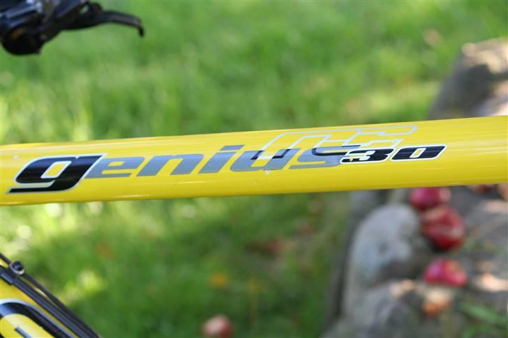 Scott genius RC 30 billede 10