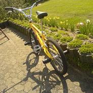 No-Name mercier    (TILSALG)