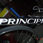 Principia rex ellipse