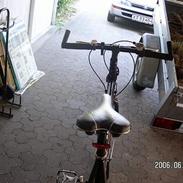 Nishiki trekking
