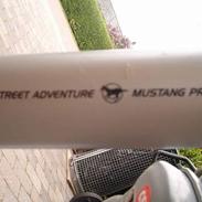 Mustang Westview Nexus-3