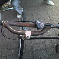 Ritter shagitti