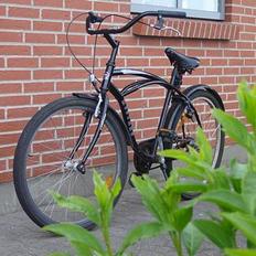 Mustang Beach Cruiser