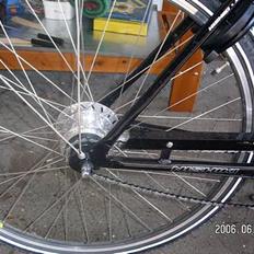 Nishiki trekking