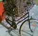 Puch club
