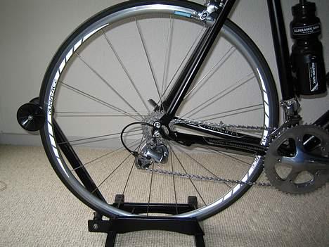 Principia Ellipse billede 3