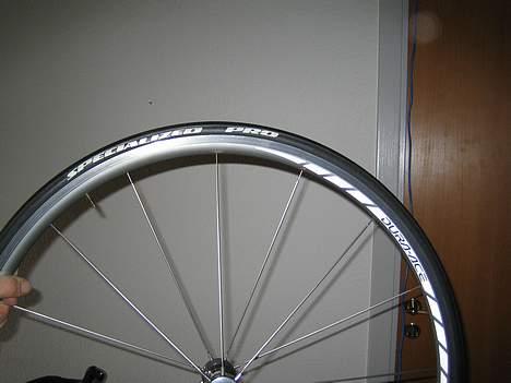 Principia Ellipse billede 6