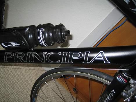 Principia Ellipse billede 7