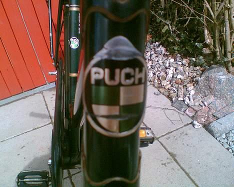 Puch club billede 4
