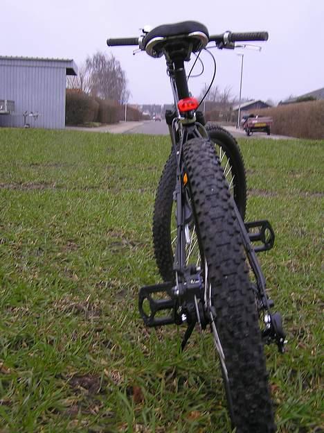 Nishiki Rule billede 6