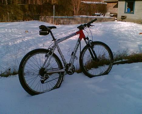 Focus NorthernLite#Død & borte# billede 5