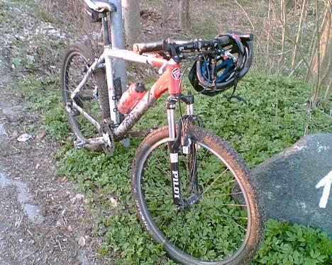 Focus NorthernLite#Død & borte# billede 9