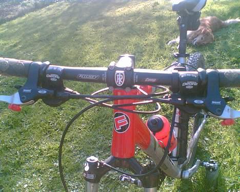 Focus NorthernLite#Død & borte# billede 12