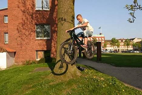 Specialized grom billede 10