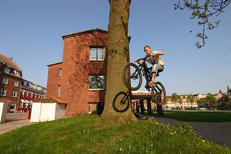 Specialized grom billede 11