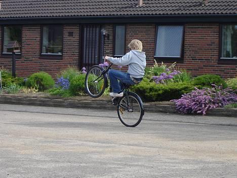 Mustang Beach Cruiser - Her kan i jo se at den også kan køre, og allerhelst på baghjulet!! billede 17