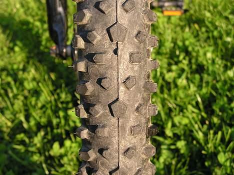 Renault renault salto billede 6