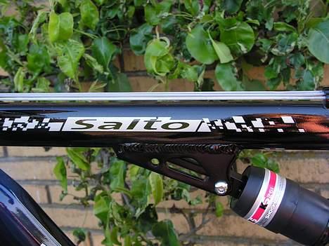 Renault renault salto billede 13