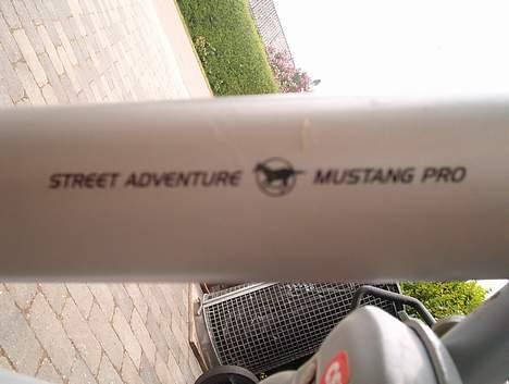 Mustang Westview Nexus-3 billede 4