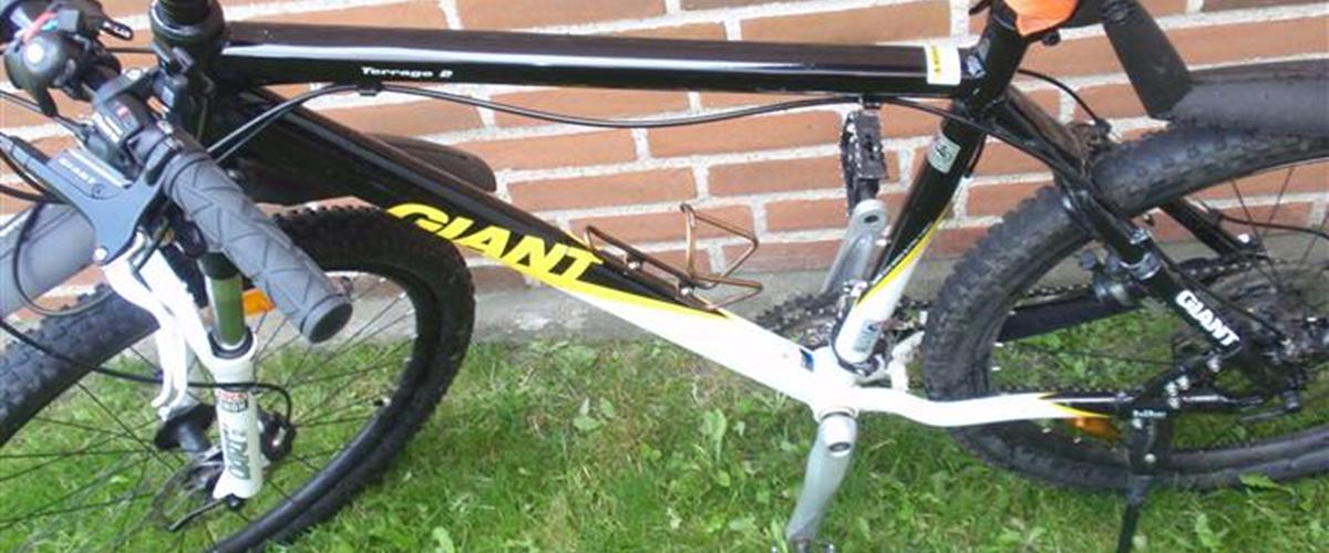 giant terrago 2010