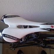 Nishiki Team Carbon