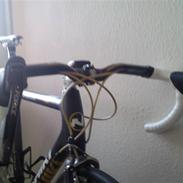 Nishiki Team Carbon