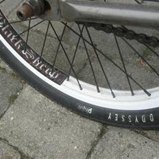 Wethepeople trust 08 20,8