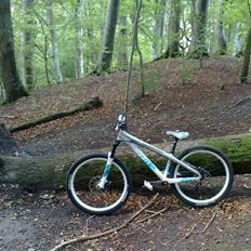 Scott Voltage YZ ltd 09