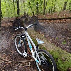 Scott Voltage YZ ltd 09