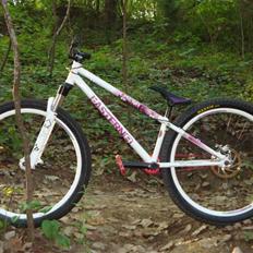 Eastern Bikes Night Train