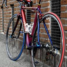 Focus "Vinter" (Summit)