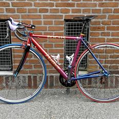 Focus "Vinter" (Summit)