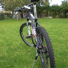 Bottecchia FX540